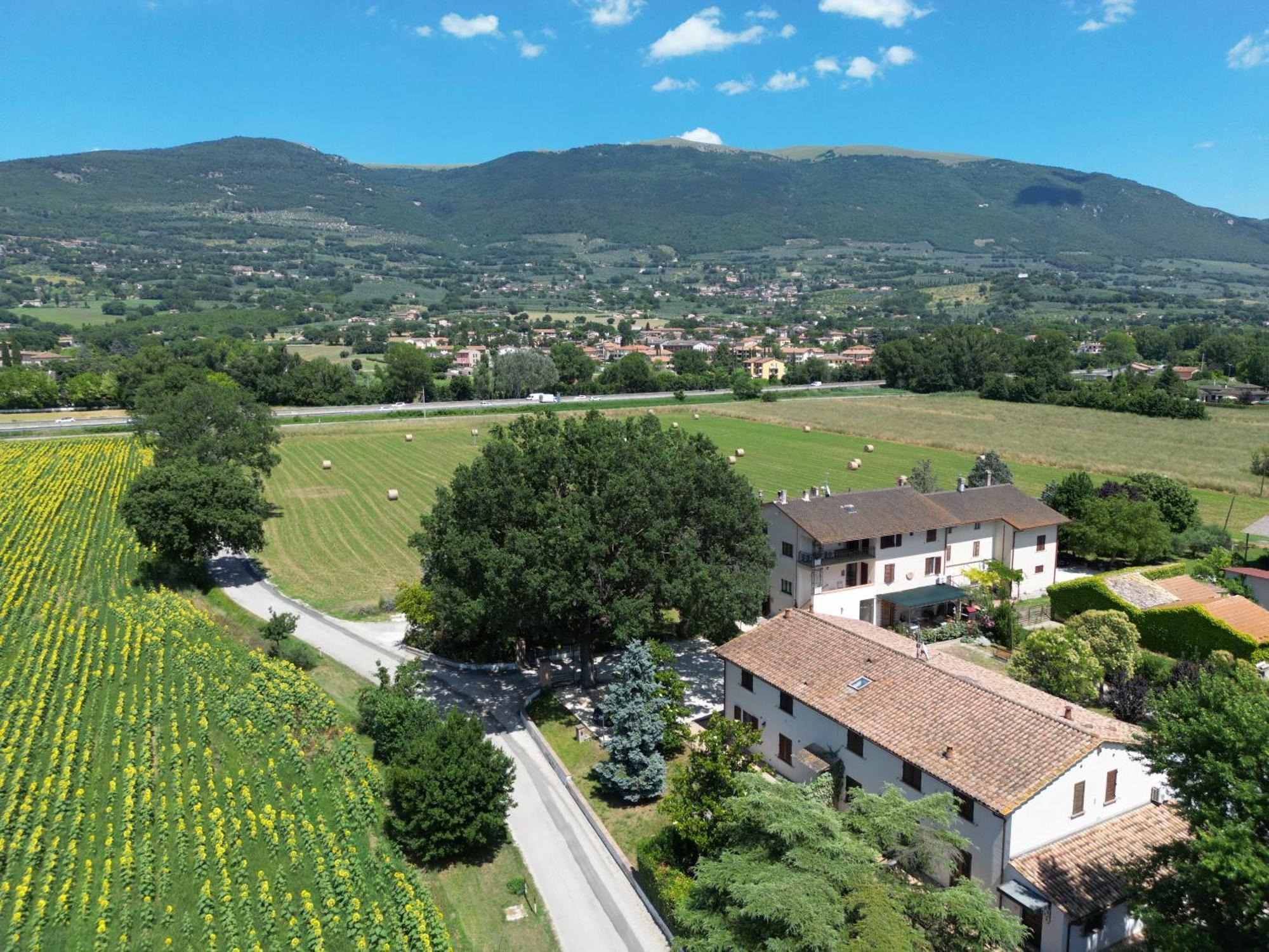 Il Quercione Agriturismo Rivotorto Εξωτερικό φωτογραφία