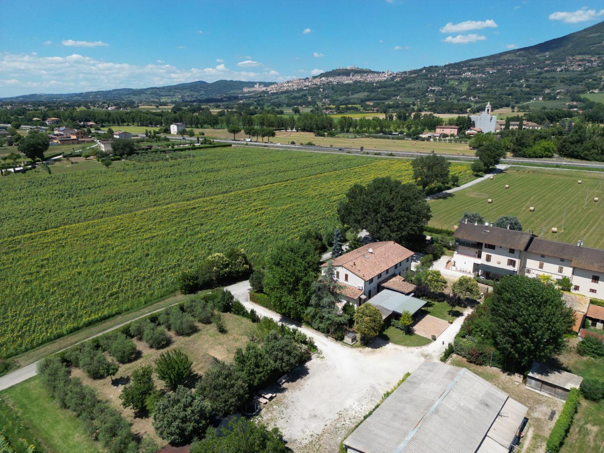 Il Quercione Agriturismo Rivotorto Εξωτερικό φωτογραφία